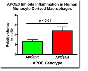 APOE3 inhibits inflammation in human monocyte derived macrophages