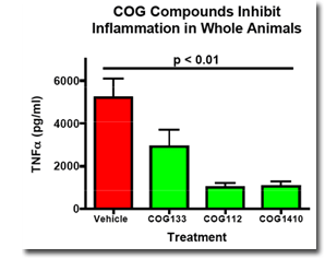 COG compunds inhibit inflammation in whole animals